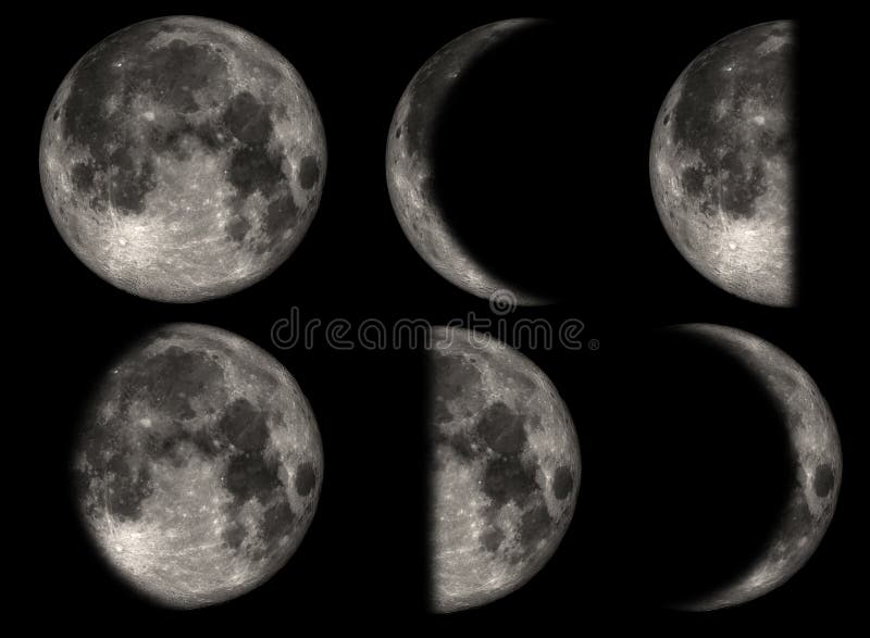 Les phases de la lune illustration de vecteur Les phases de la lune illustration de vecteur