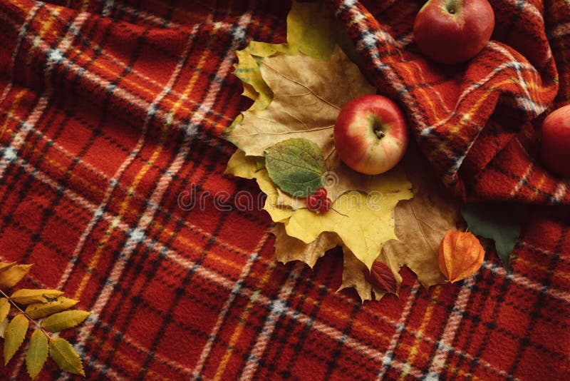 Les pommes de chute de feuilles d'automne chauffent le concept couvrant image libre de droits Les pommes de chute de feuilles d'automne chauffent le concept couvrant image libre de droits