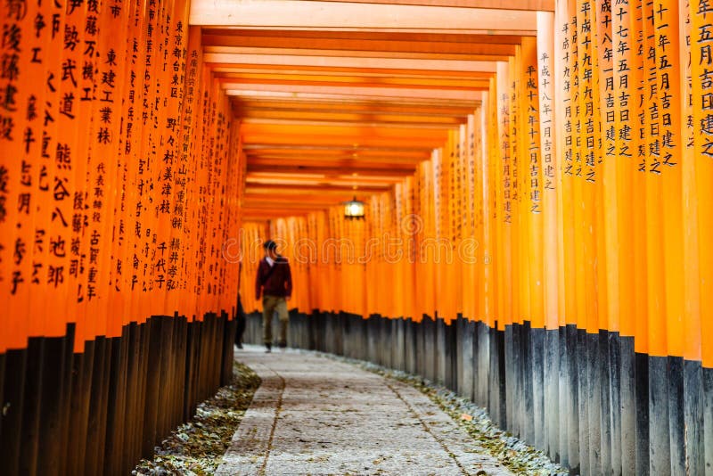 Les portes de Torii de Fushimi Inari Shrine à Kyoto, Japon images stock Les portes de Torii de Fushimi Inari Shrine à Kyoto, Japon images stock