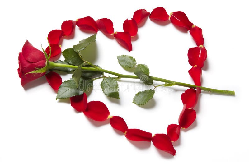 Les pétales de rose rouges dans la forme de coeur avec se sont levés photographie stock libre de droits Les pétales de rose rouges dans la forme de coeur avec se sont levés photographie stock libre de droits
