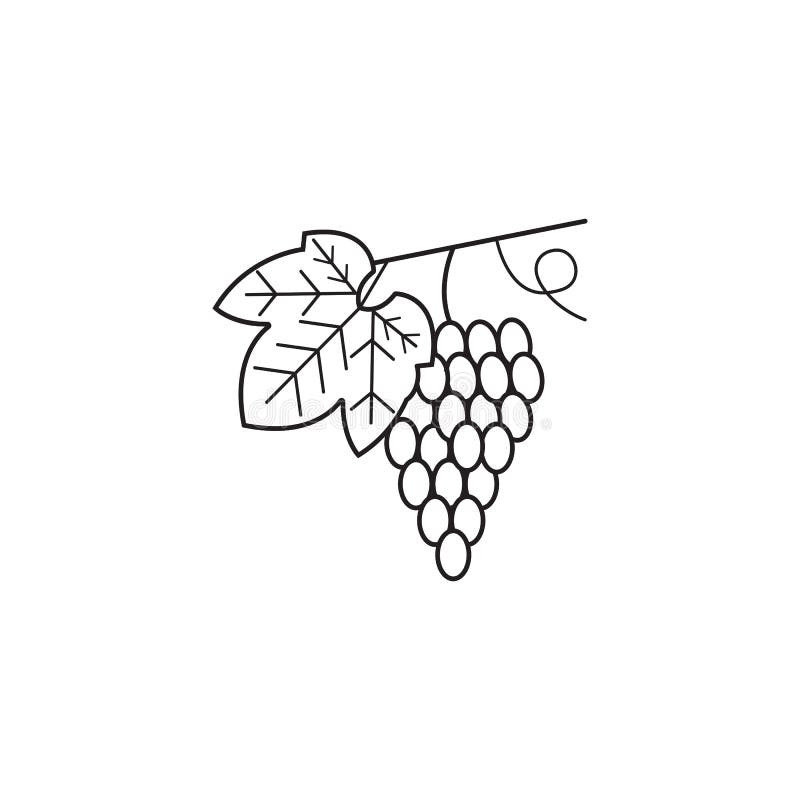 Les raisins rayent l'icône, fruit sain, graphiques de vecteur, illustration libre de droits Les raisins rayent l'icône, fruit sain, graphiques de vecteur, illustration libre de droits