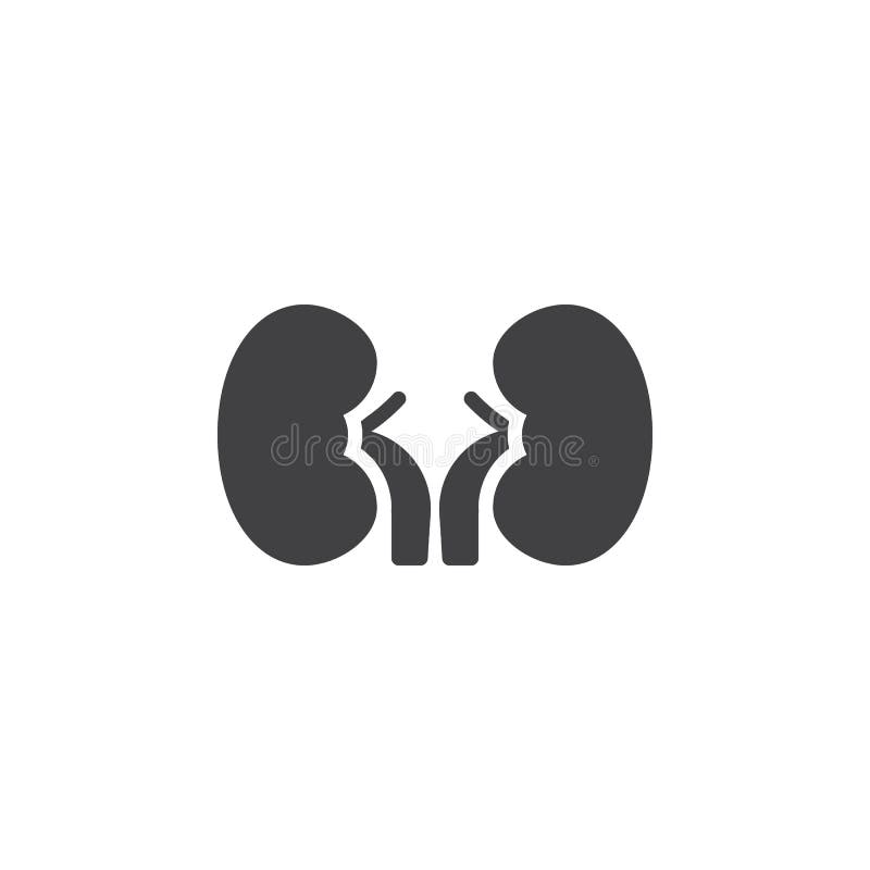 Human kidneys vector icon. filled flat sign for mobile concept and web design. Kidney organ glyph icon. Symbol, logo illustration. Pixel perfect vector graphics. Human kidneys vector icon. filled flat sign for mobile concept and web design. Kidney organ glyph icon. Symbol, logo illustration. Pixel perfect vector graphics