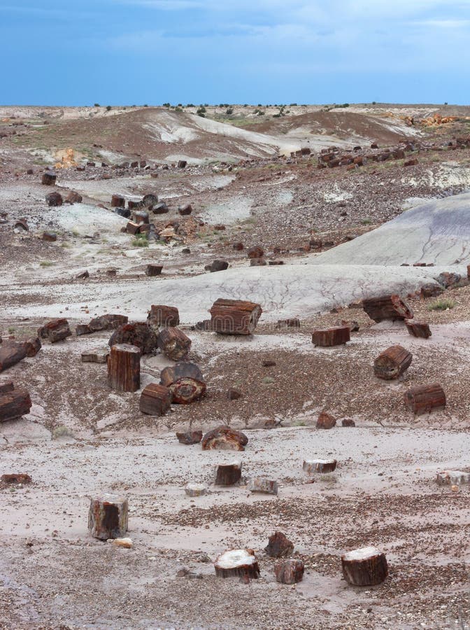 Les rondins en bois pétrifié ont dispersé à travers le paysage, Forest National Park pétrifié, Arizona, Etats-Unis photographie stock libre de droits Les rondins en bois pétrifié ont dispersé à travers le paysage, Forest National Park pétrifié, Arizona, Etats-Unis photographie stock libre de droits