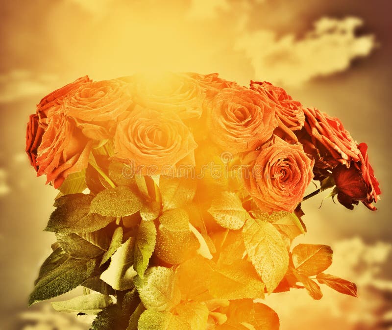Les roses humides rouges fleurit le bouquet sur le ciel de vintage image libre de droits Les roses humides rouges fleurit le bouquet sur le ciel de vintage image libre de droits