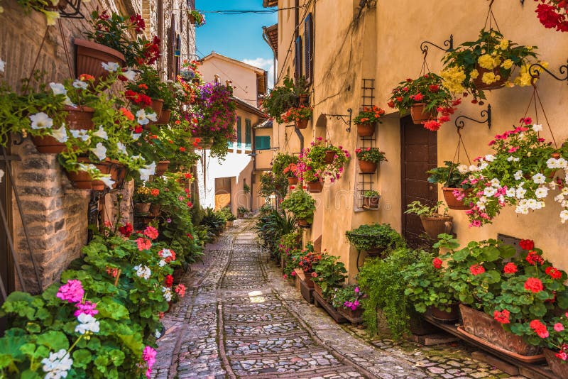 Les rues pavées en cailloutis des murs admirablement décorés avec le colo photographie stock Les rues pavées en cailloutis des murs admirablement décorés avec le colo photographie stock