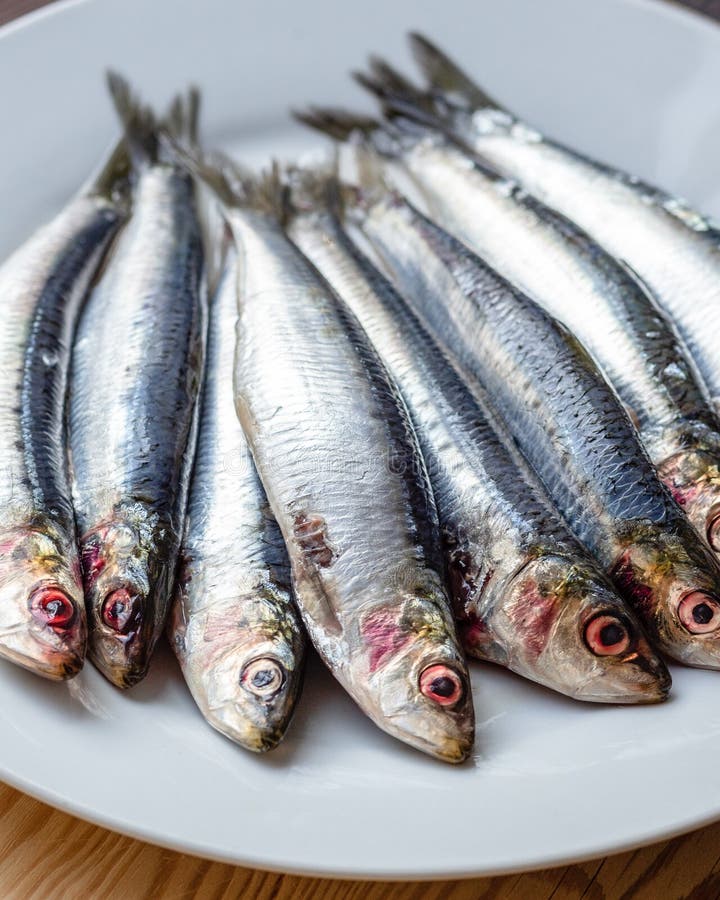 Les sardines se ferment dans le plat blanc photos libres de droits Les sardines se ferment dans le plat blanc photos libres de droits