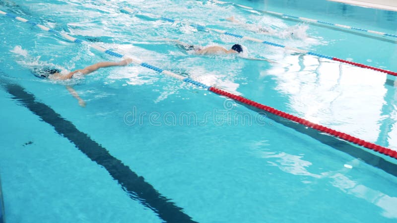 Les sportifs professionnels s'entraînent dans une piscine intérieure banque de vidéos