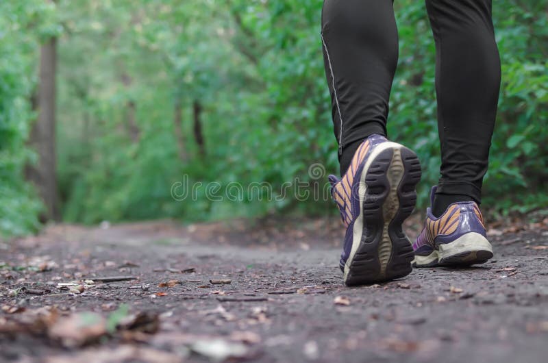 Les sports chausse la marche ou pulser sur l'herbe verte, pays croisé de coureur d'homme fonctionnant sur la traînée dans la form photos stock Les sports chausse la marche ou pulser sur l'herbe verte, pays croisé de coureur d'homme fonctionnant sur la traînée dans la form photos stock