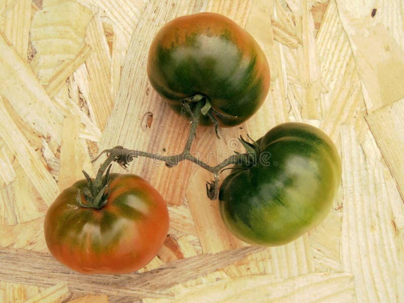 Les tomates sur une table colore en revanche le rouge et le vert image libre de droits Les tomates sur une table colore en revanche le rouge et le vert image libre de droits
