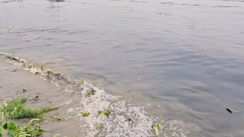 Les vagues d'eau de la rivière frappent la rive. Fermer la vidéo des vagues d'eau sale prises après le passage d'un navire. clips vidéos
