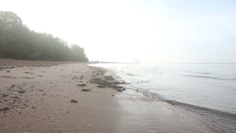 Les vagues ont battu dans la banque de mer de sable à l'aube