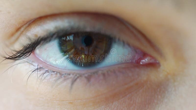 Les yeux de la fille dans le grand brumeau clignotent souvent une vue extrême banque de vidéos