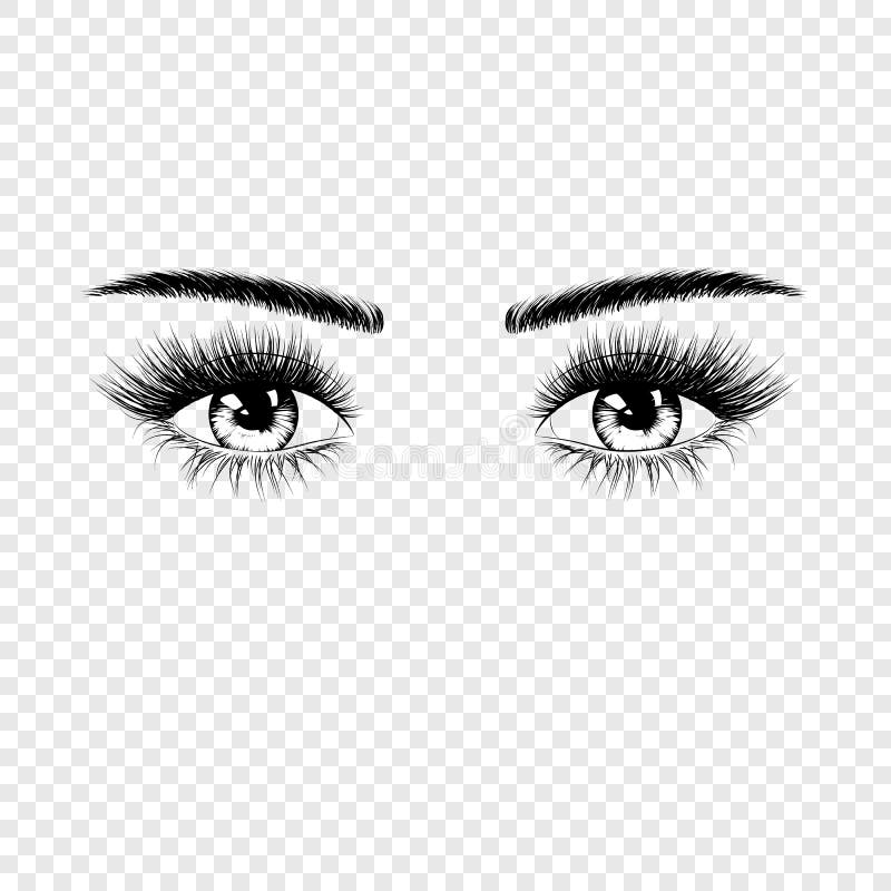 Sourcils Free Stock Vectors