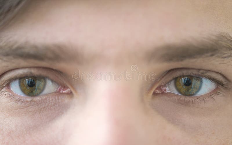 11 781 Jeune Homme Avec Les Yeux Verts Photos Libres De Droits Et Gratuites De Dreamstime