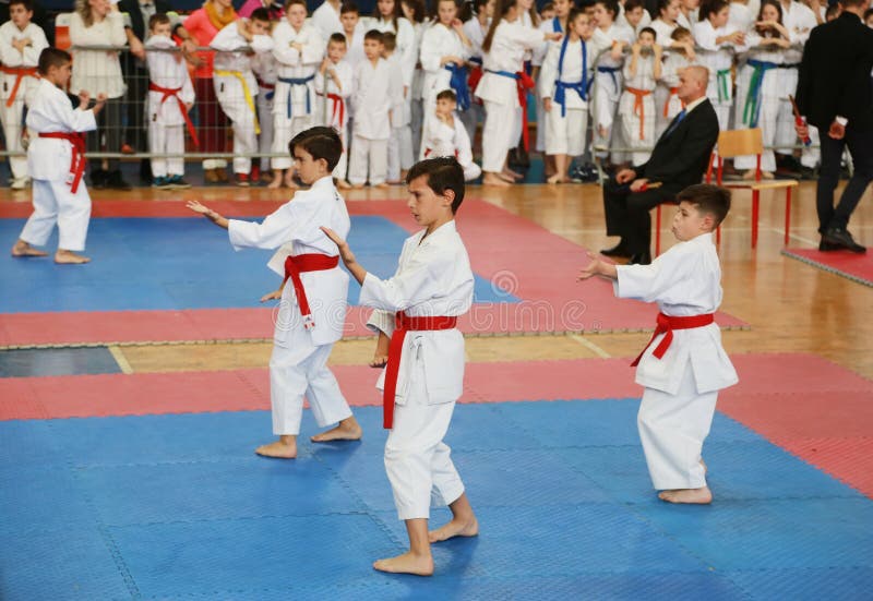 Leskovac, Serbia Srbija IPPON INTERNAZIONALE di KARATÈ del 25 novembre APRE 2018: Concorsi di sport dei bambini di karatè nella p immagine stock Leskovac, Serbia Srbija IPPON INTERNAZIONALE di KARATÈ del 25 novembre APRE 2018: Concorsi di sport dei bambini di karatè nella p immagine stock