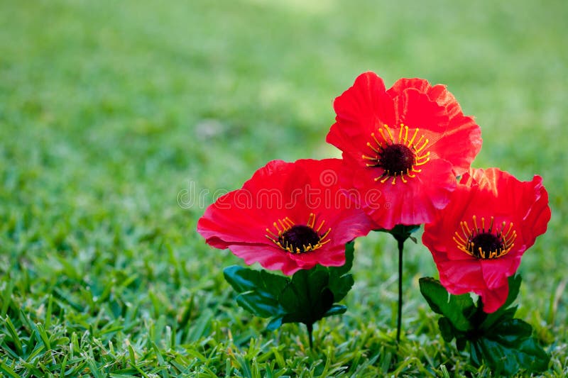 Lest We Forget - Anzac - Rememberance