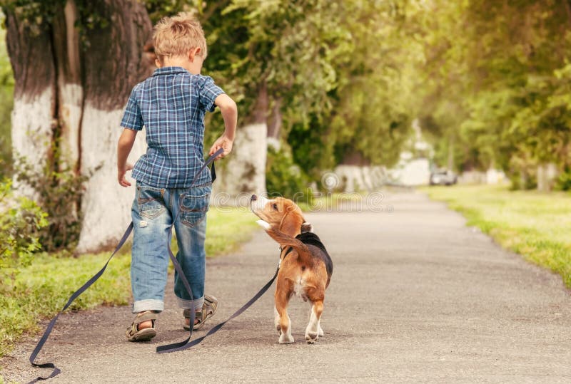 Let's play together! Boy walk with puppy stock photography Let's play together! Boy walk with puppy stock photography
