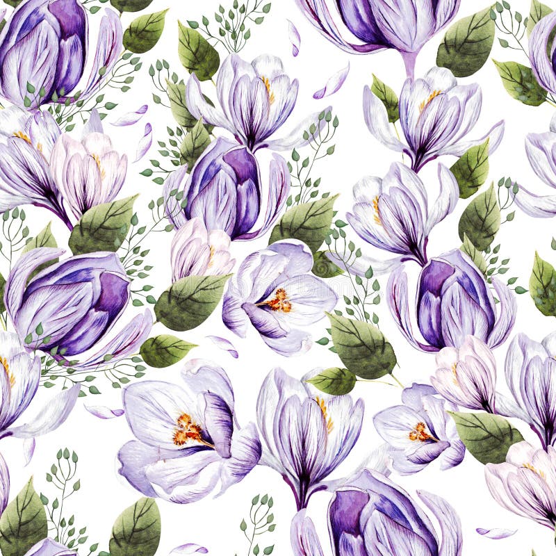 Summer Floral seamless pattern with Blooming Crocus and garden leaves, Illustration on white in watercolor style. Summer Floral seamless pattern with Blooming Crocus and garden leaves, Illustration on white in watercolor style.