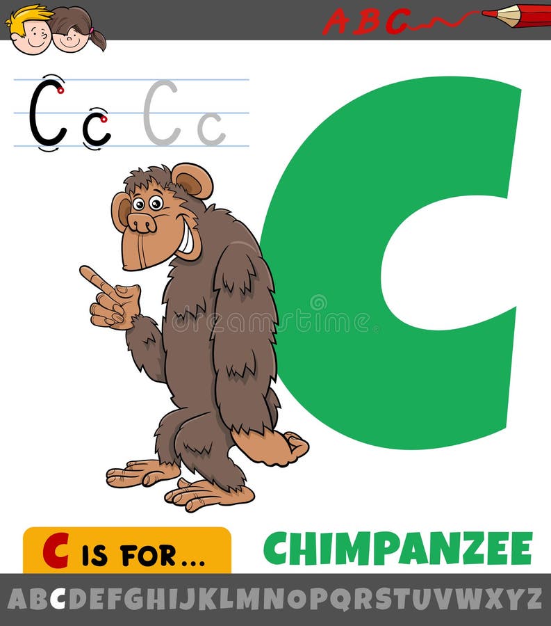 Desenhos Animados Bonitos Do Macaco Ilustração Stock - Ilustração de  chimpanzé, animal: 64984520