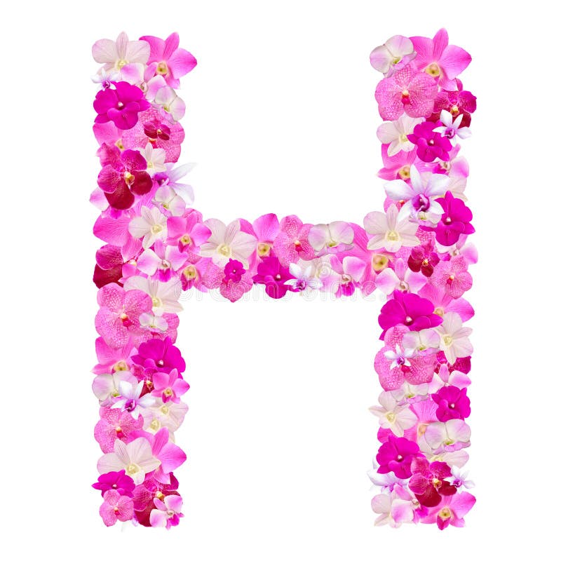 Letra H De Las Flores De La Orquídea Aisladas En Blanco Con