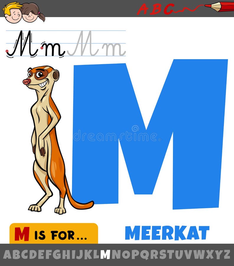 Letra M Del Alfabeto Con Dibujos Animados Meerkat Animal Ilustración del  Vector - Ilustración de cabritos, animal: 216147936