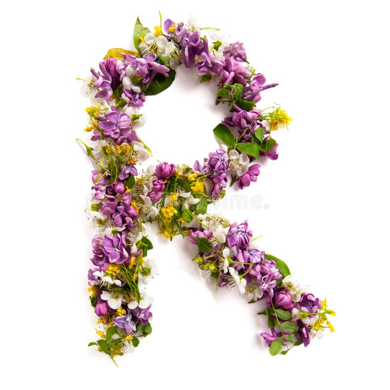 A letra  “R” fez de várias flores pequenas naturais foto de stock A letra  “R” fez de várias flores pequenas naturais foto de stock