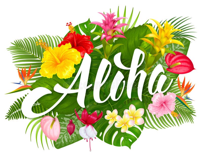 Letras de Aloha Hawaii y plantas tropicales