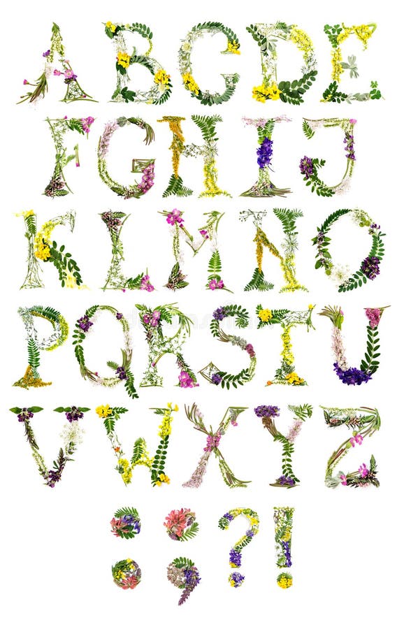 Letras florais do alfabeto latino imagens de stock Letras florais do alfabeto latino imagens de stock