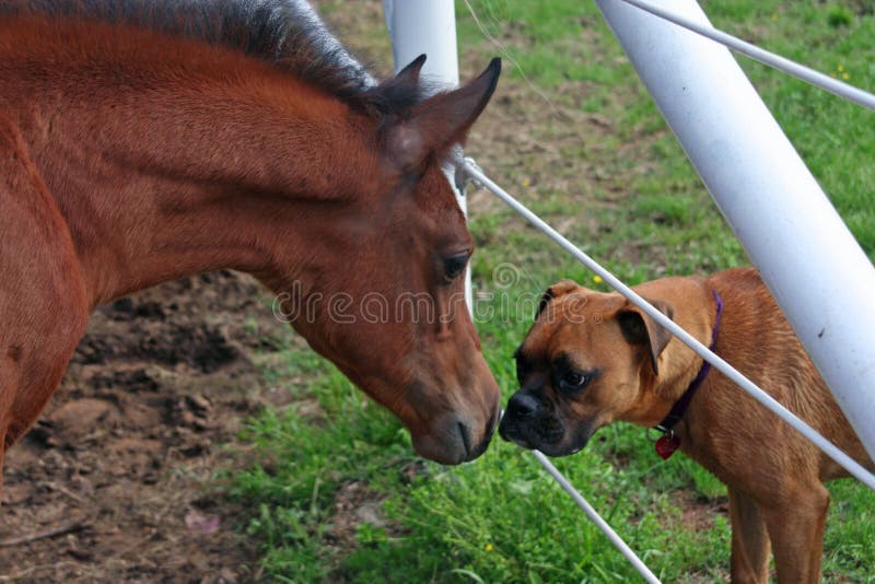 Lets be Friends stock images Lets be Friends stock images
