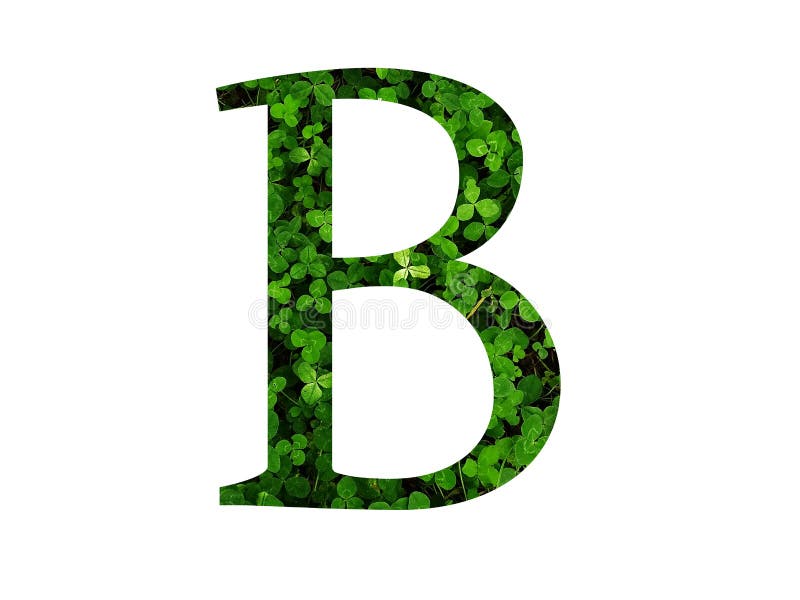 https://thumbs.dreamstime.com/b/letter-b-alphabet-made-green-leaf-clover-field-color-255869560.jpg