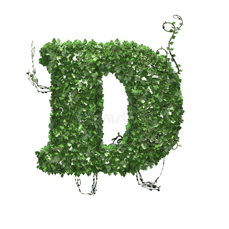 Letter D Created of Green Ivy Leaves Stock Illustration - Illustration ...