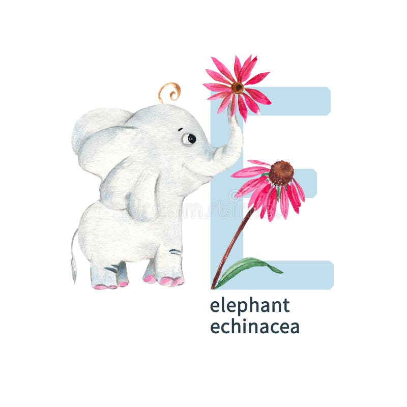 E elephant. Буква е слон и цветы. Flowers ABC.