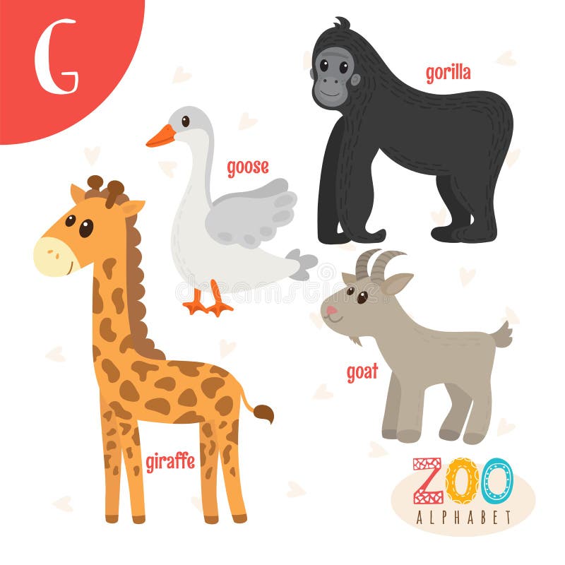 Letter G. Cute Animals. Funny Cartoon Animals in Vector Stock Vector - Illustration of card, farm: 76965623 Letter G. Cute Animals. Funny Cartoon Animals in Vector Stock Vector - Illustration of card, farm: 76965623
