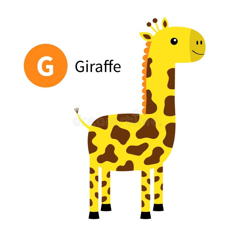 Letter G. Giraffe. Zoo Animal Alphabet. English Abc with Cute Cartoon Kawaii Funny Baby Animals. Education Cards for Kids Stock Vector - Illustration of cartoon, collection: 181639828 Letter G. Giraffe. Zoo Animal Alphabet. English Abc with Cute Cartoon Kawaii Funny Baby Animals. Education Cards for Kids Stock Vector - Illustration of cartoon, collection: 181639828