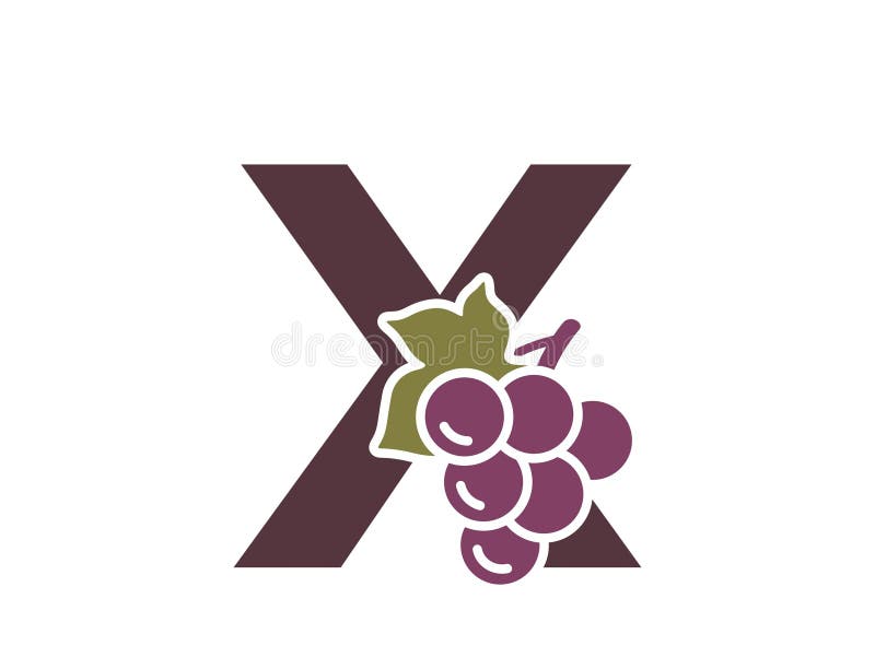 Alphabet Fruit X Stock Illustrations 130 Alphabet Fruit X Stock