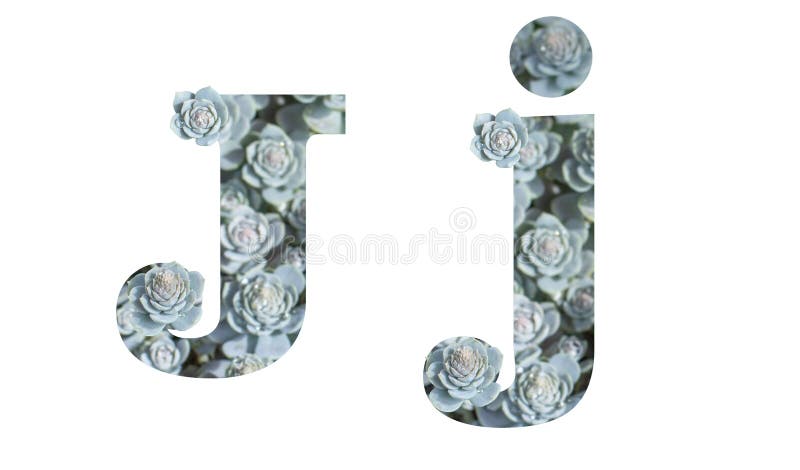 Letter J Uppercase and Lowercase Isolated on a White Background. English Alphabet Decorated Stock Image - Image of creative, chinese: 166146451 Letter J Uppercase and Lowercase Isolated on a White Background. English Alphabet Decorated Stock Image - Image of creative, chinese: 166146451