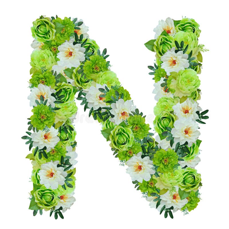 Letter N from Green and White Flowers Isolated on White Stock Image Image of letter