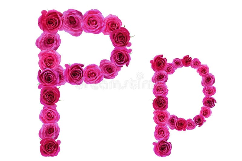 Letter P Roses Stock Photos - Free & Royalty-Free Stock Photos from  Dreamstime