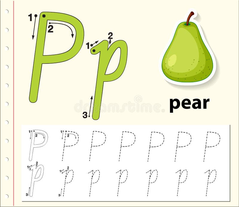 Letter P tracing alphabet worksheets illustration. Letter p pear vectors