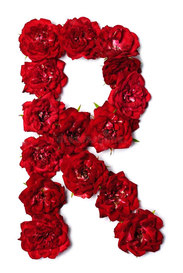 Alphabet H Made From Red Petals Rose Stock Photo, Picture and Royalty Free  Image. Image 13859895.