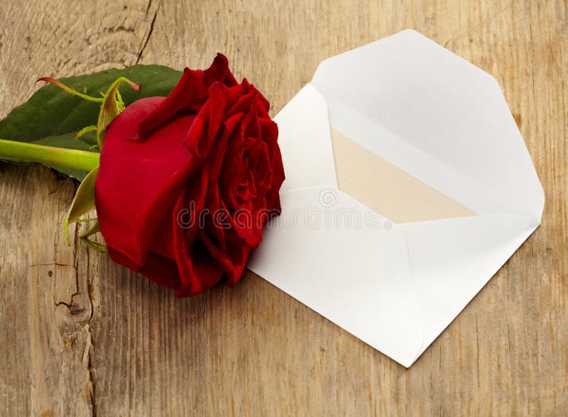 Letter and rose stock image. Image of rose, present, tenderness 26087779