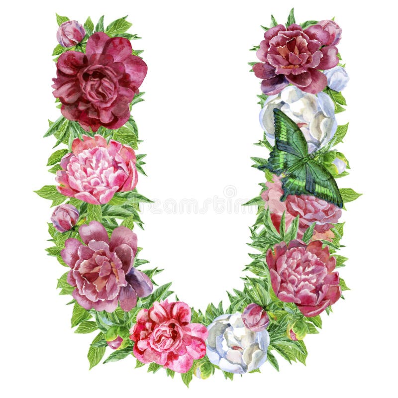 U, Flower Alphabet Isolated On White With Clipping Path Stock Photo,  Picture and Royalty Free Image. Image 11854412.