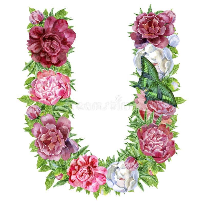 Floral Alphabet Letter U Watercolor Flowers Stock Illustration