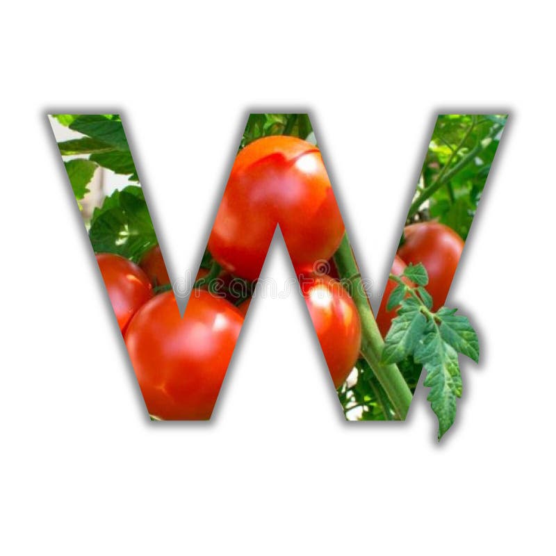 Letter W Made of Fresh Fruit. W Lettering Stock Image Image of nature