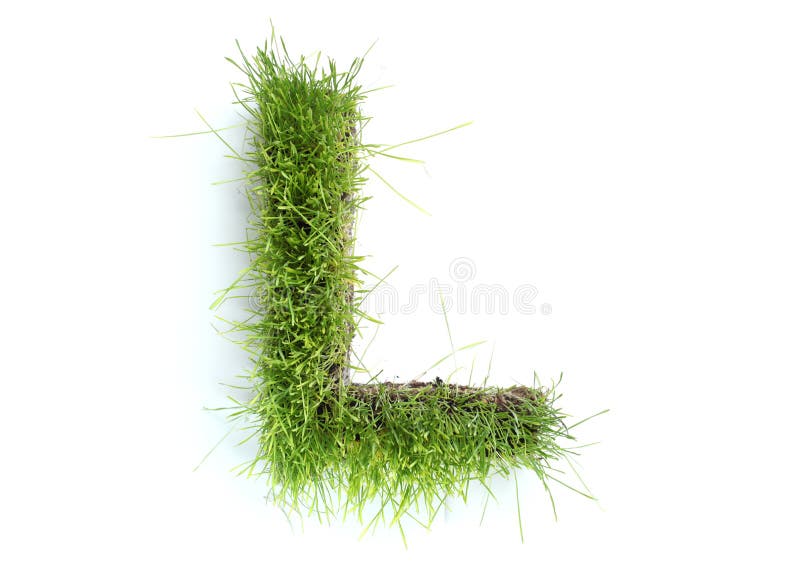 Letters made of grass stock image. Image of letters, character - 9048593