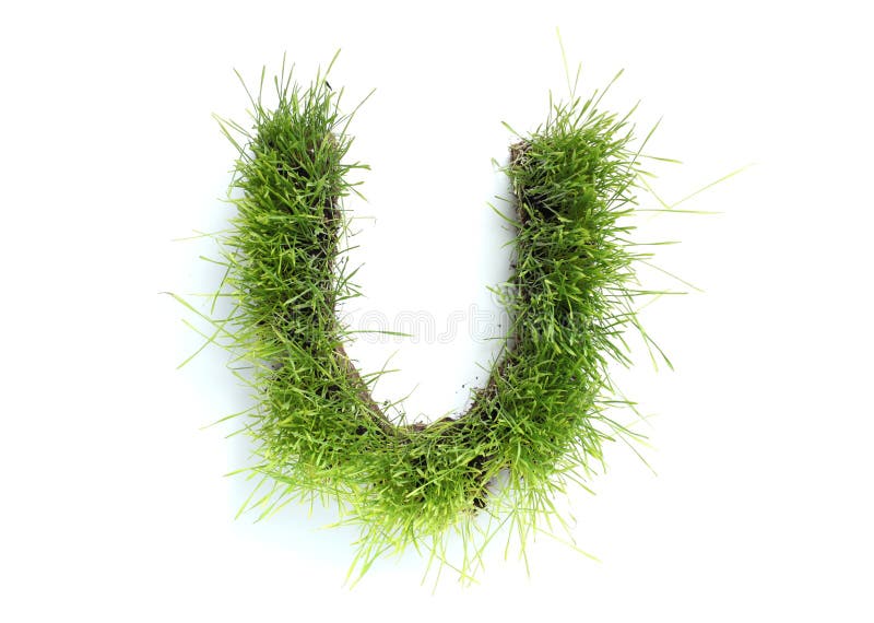 Letters made of grass stock photo. Image of summer, fresh 9049208