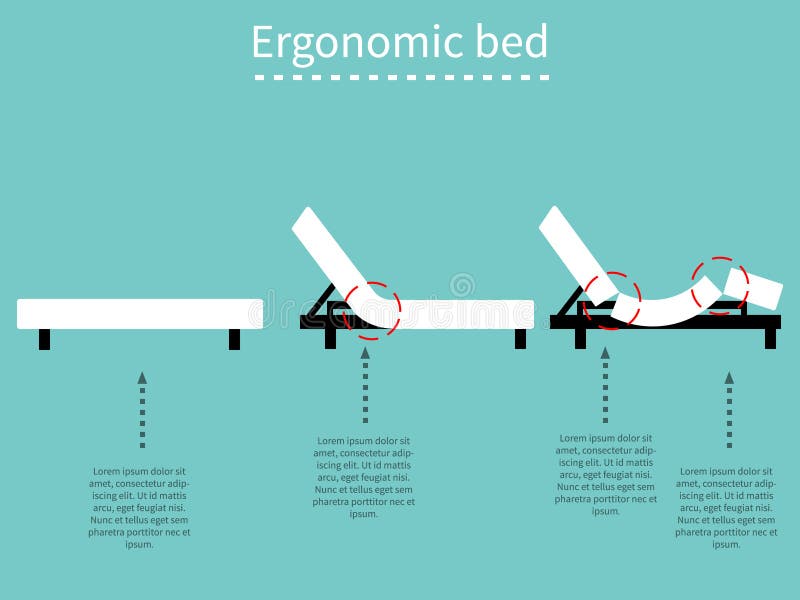 Letto ergonomico 1 illustrazione vettoriale. Illustrazione di salute