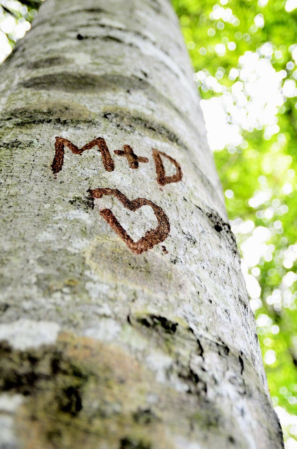 Lettre d'amour découpée sur un arbre images libres de droits Lettre d'amour découpée sur un arbre images libres de droits