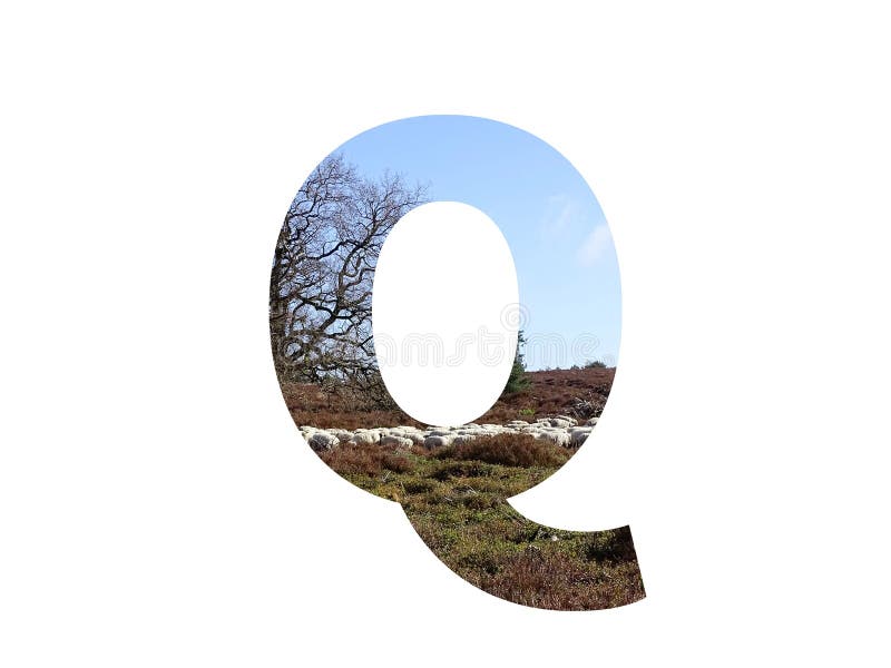 Letter Q of the alphabet made with a herd of sheep in the heather and a blue sky, with colors brown, white, beige, blue and green, isolated on a white background. Letter Q of the alphabet made with a herd of sheep in the heather and a blue sky, with colors brown, white, beige, blue and green, isolated on a white background