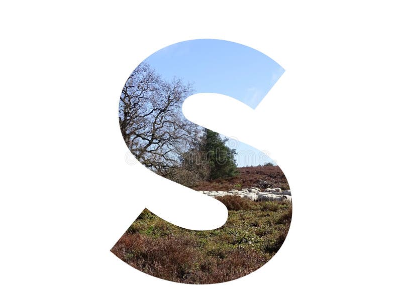 Letter S of the alphabet made with a herd of sheep in the heather and a blue sky, with colors brown, white, beige, blue and green, isolated on a white background. Letter S of the alphabet made with a herd of sheep in the heather and a blue sky, with colors brown, white, beige, blue and green, isolated on a white background